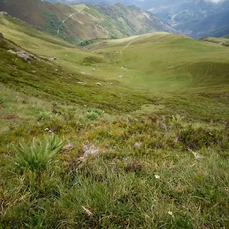 Appartement Canadina 1