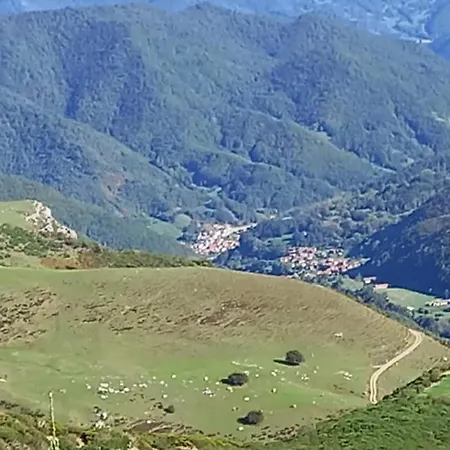 Canadina 1 Morgovejo