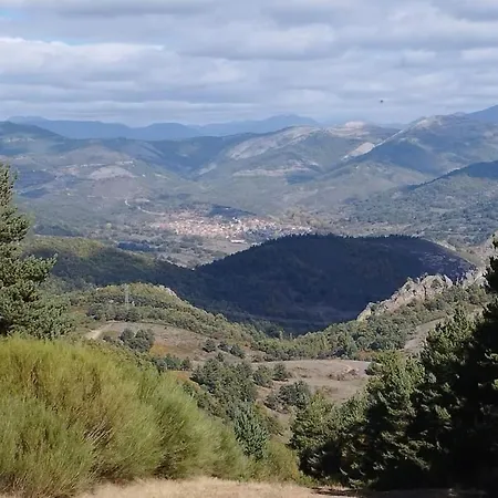 Canadina 1 * Morgovejo