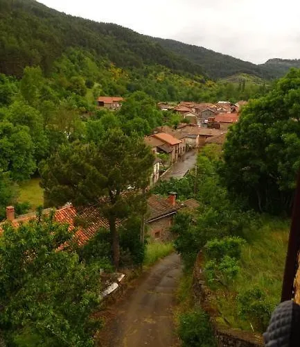 Canadina 1 Morgovejo