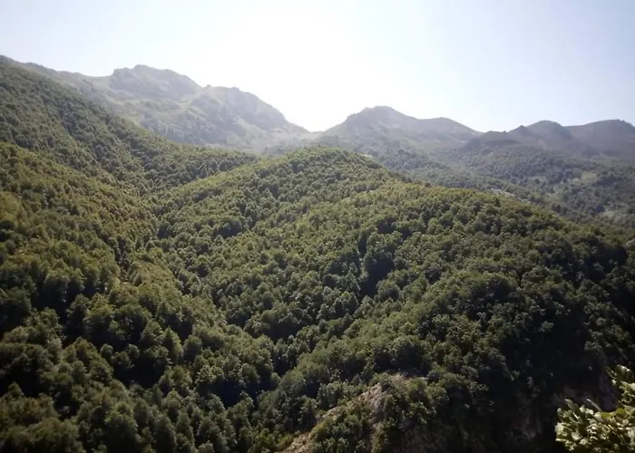 Canadina 1 아파트 Morgovejo