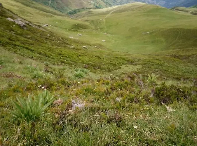 아파트 Canadina 1