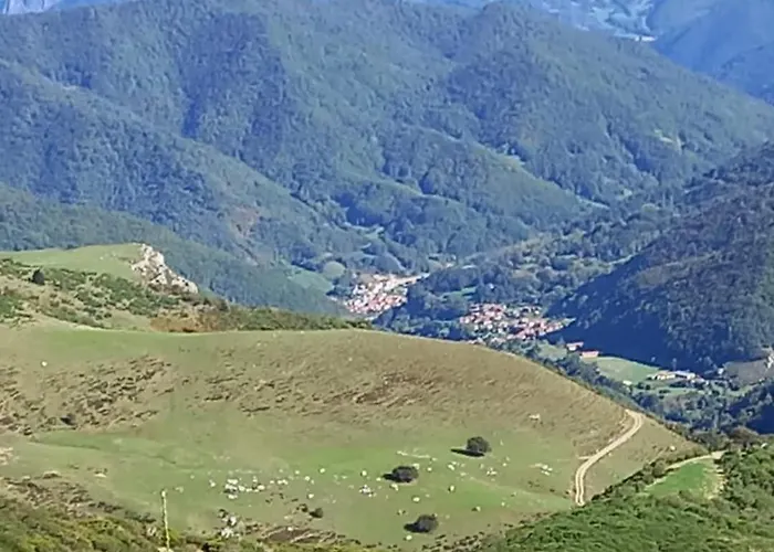 Canadina 1 Morgovejo