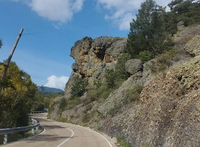 Canadina 1 Morgovejo