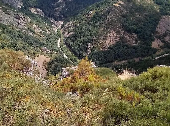 Canadina 1 * Morgovejo