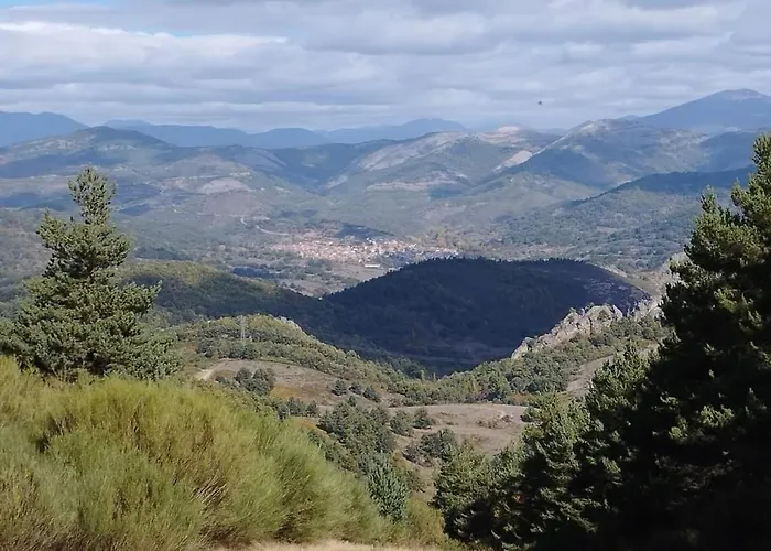 Canadina 1 * Morgovejo